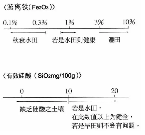 地力與優(yōu)質(zhì)土壤