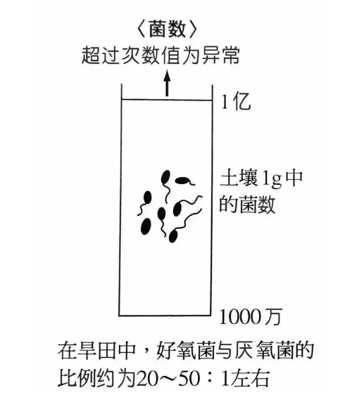 地力與優(yōu)質(zhì)土壤