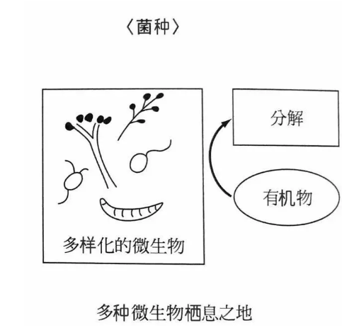 地力與優(yōu)質(zhì)土壤