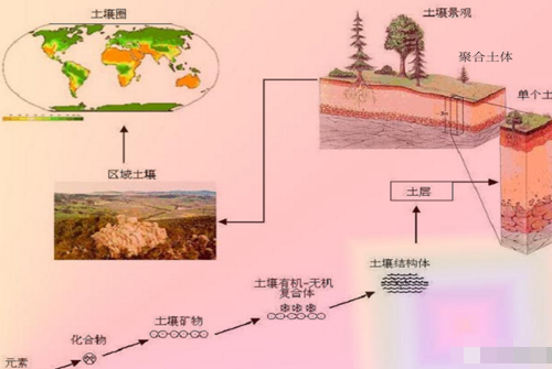 有機肥等不等于土壤有機質呢？