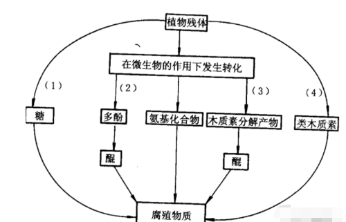 有機肥等不等于土壤有機質呢？