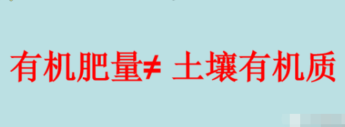 有機肥等不等于土壤有機質呢？