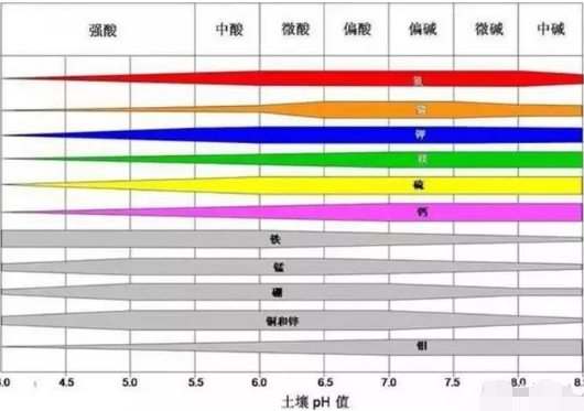 醒醒吧！土壤病了，用再多肥料也白瞎！