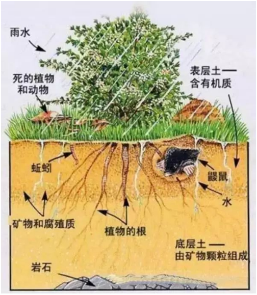 土壤肥力，有機(jī)質(zhì)的七種作用