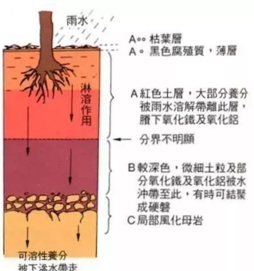 不懂土壤，你用再多肥再多藥都是浪費！