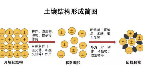 不懂土壤，你用再多肥再多藥都是浪費！