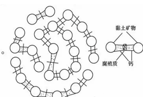 土壤病了，還在拼命撒化肥？5個(gè)措施教你改良，很實(shí)用！