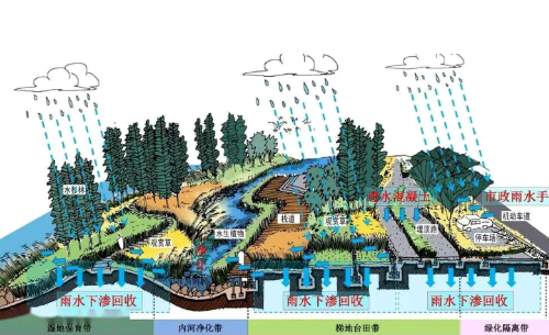 土壤鹽漬化分為原生鹽漬化和次生鹽堿化兩類