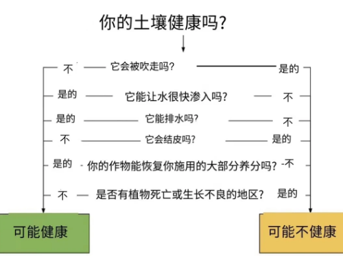 你的土壤健康嗎？