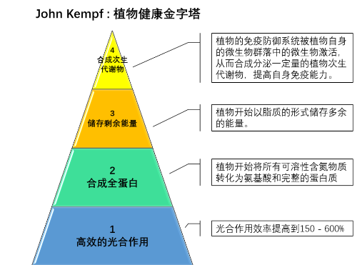 植物健康的四個(gè)等級(jí)→