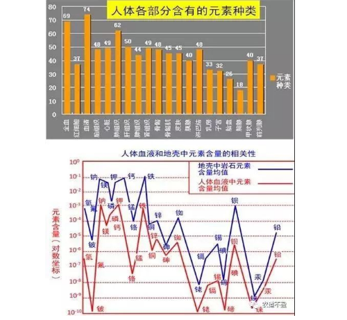 土壤—植物營養(yǎng)—人體健康的關(guān)系！