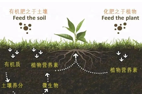 俗話說“一方水土，養(yǎng)一方人”土壤健康與我們的食品安全息息相關