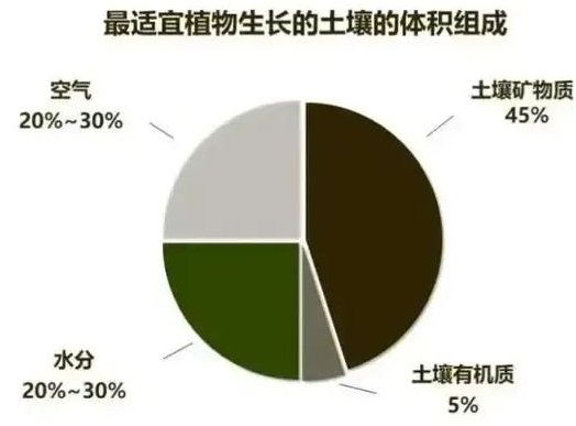 “土壤肥力”到底是什么？提高肥力提高的什么？