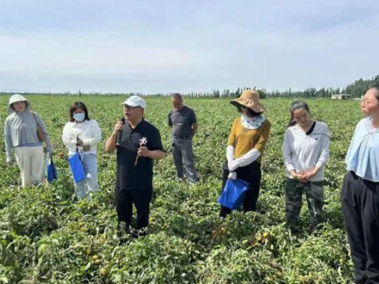 院企科研項(xiàng)目結(jié)碩果——成都華宏生物成功解決"番茄列當(dāng)"世界難題