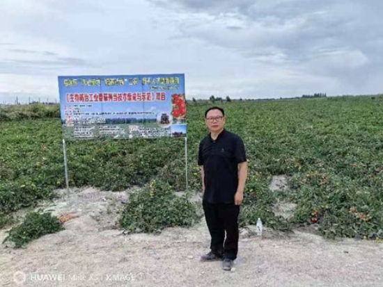 院企科研項(xiàng)目結(jié)碩果——成都華宏生物成功解決"番茄列當(dāng)"世界難題