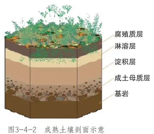 高考地理：土壤剖面、成土因素、土壤養(yǎng)護