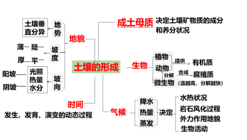 高考地理：土壤剖面、成土因素、土壤養(yǎng)護