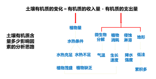 高考地理：土壤剖面、成土因素、土壤養(yǎng)護