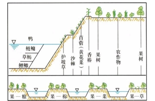 高考地理：土壤剖面、成土因素、土壤養(yǎng)護