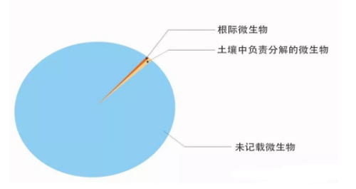 關于土壤微生物的5大疑惑