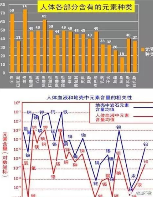 土壤—植物營養(yǎng)—人體健康的關(guān)系