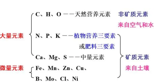 植物必需營(yíng)養(yǎng)元素之間的關(guān)系！