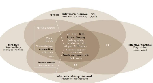 土壤健康的概念和未來展望→
