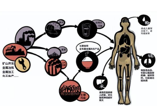 警惕！土壤里居然有重金屬！