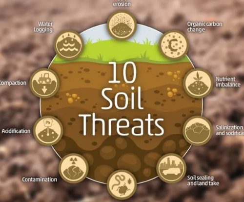 土壤面臨的10 種威脅，水土流失排名第一!