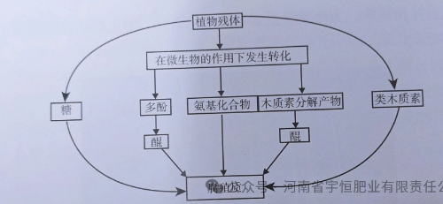 土壤有機質(zhì)是什么？