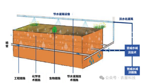 中國(guó)鹽堿地的兩種治理模式→