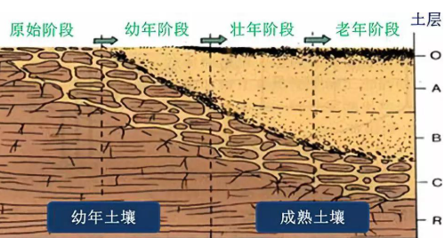 不容忽視！十大土壤‘癌癥’，拯救行動刻不容緩！