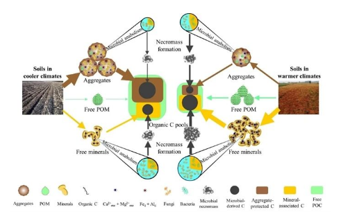 跨氣候帶尺度農(nóng)田土壤有機(jī)碳形成途徑與保護(hù)機(jī)制研究系列進(jìn)展