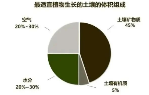 “土壤肥力”到底是什么？提高肥力提高的什么？一句話弄懂了→