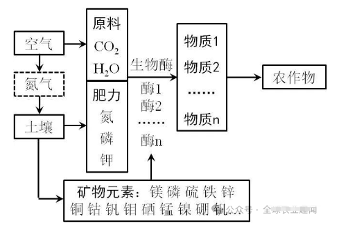 為什么出現(xiàn) “菜沒味、瓜不甜、果不香”？