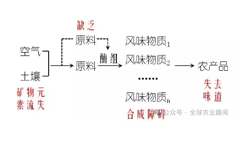 為什么出現(xiàn) “菜沒味、瓜不甜、果不香”？