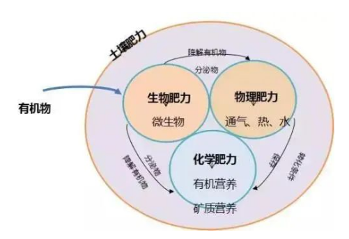 破解果園土壤肥力難題，只需這幾步