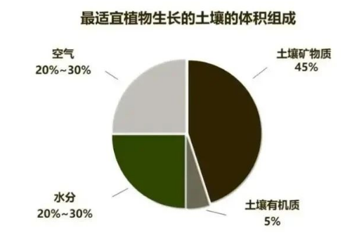 土壤肥力”到底是什么？提高肥力提高的什么？一句話弄懂了→