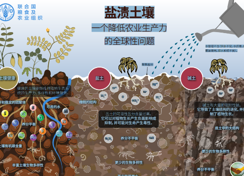 土壤鹽堿化形成的原因及治理措施