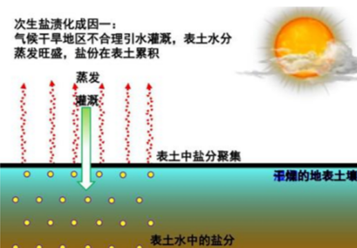 熱門的鹽堿地改良，如何挖掘自己產(chǎn)品特點(diǎn)進(jìn)行應(yīng)用推廣→