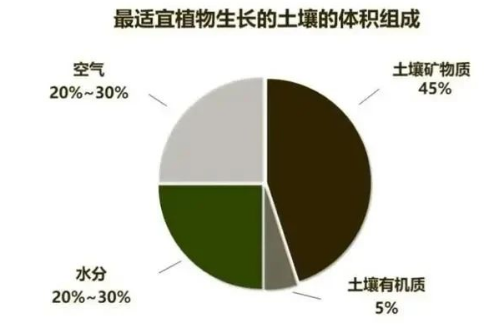 “土壤肥力”到底是什么？提高肥力提高的什么？一句話弄懂了