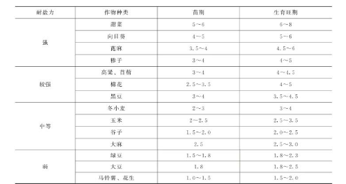 高標準農(nóng)田土壤鹽堿化與改良措施